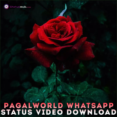 Pagalworld Whatsapp Status Video Download